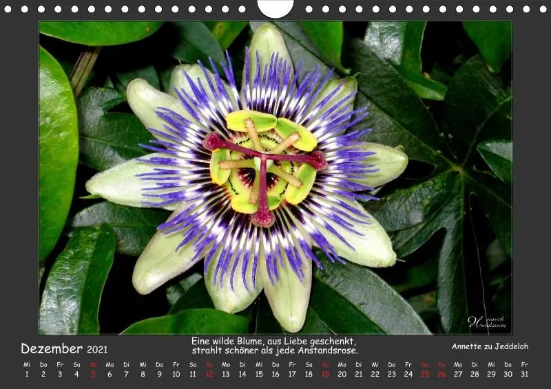 Holistic Arts Blumen-Kalender 2021 - Lächeln der Erde A4