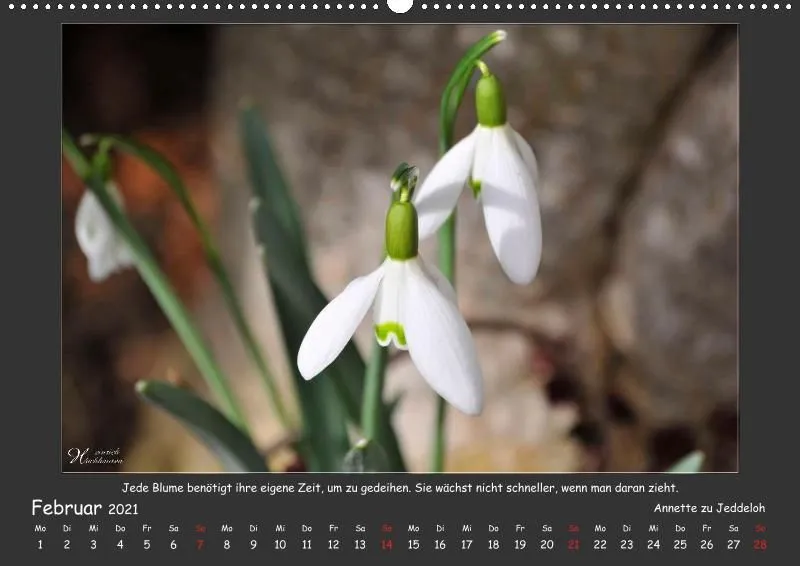 Holistic Arts Blumen-Kalender 2021 - Lächeln der Erde A2