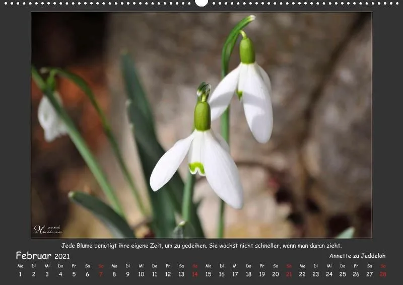 Holistic Arts Blumen-Kalender 2021 - Lächeln der Erde A2