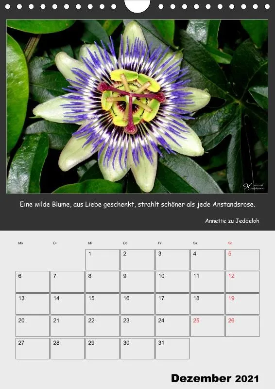 Holistic Arts Blumen-Termin-Kalender 2021 - Lächeln der Erde