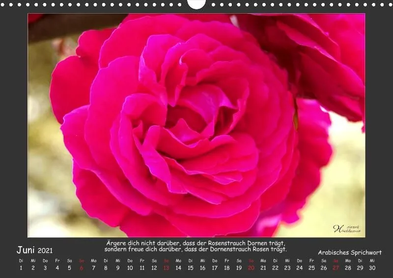 Holistic Arts Blumen-Kalender 2021 - Lächeln der Erde A3