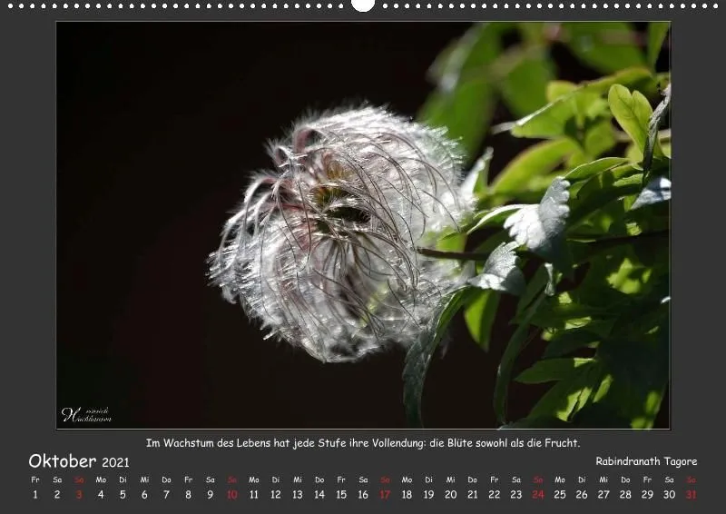 Holistic Arts Blumen-Kalender 2021 - Lächeln der Erde A2