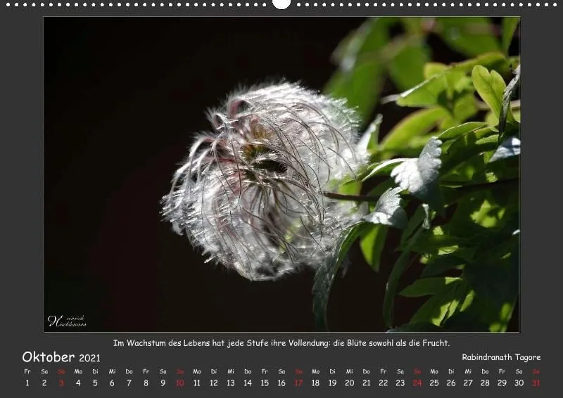 Holistic Arts Blumen-Kalender 2021 - Lächeln der Erde A2