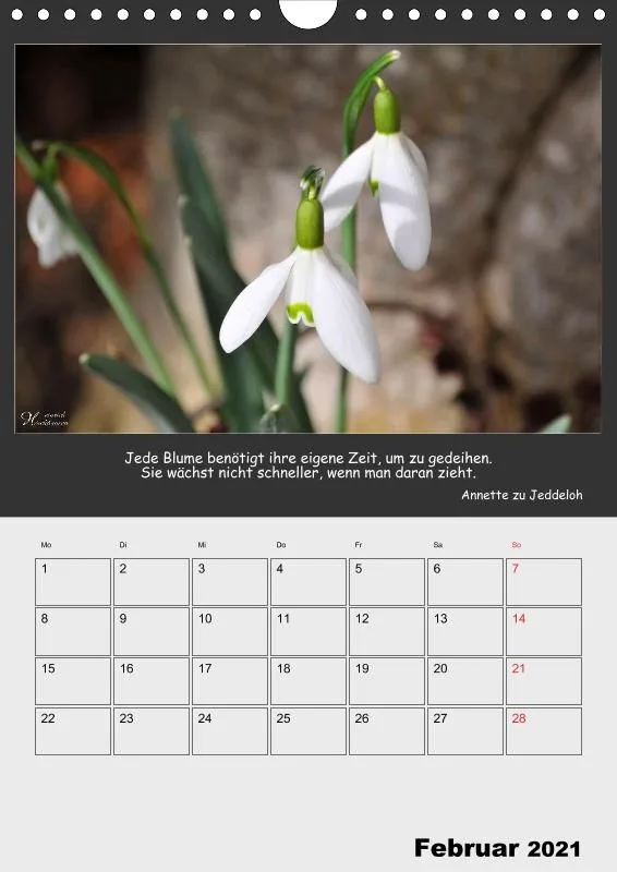 Holistic Arts Blumen-Termin-Kalender 2021 - Lächeln der Erde