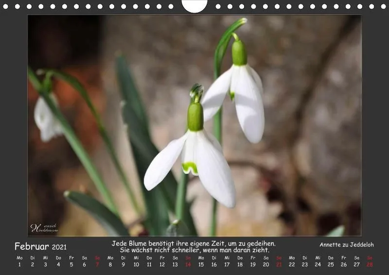 Holistic Arts Blumen-Kalender 2021 - Lächeln der Erde A4