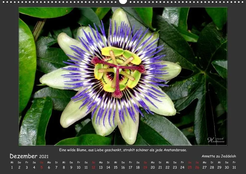 Holistic Arts Blumen-Kalender 2021 - Lächeln der Erde A2