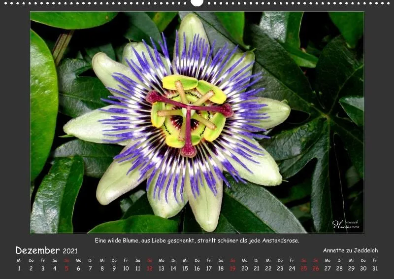 Holistic Arts Blumen-Kalender 2021 - Lächeln der Erde A2