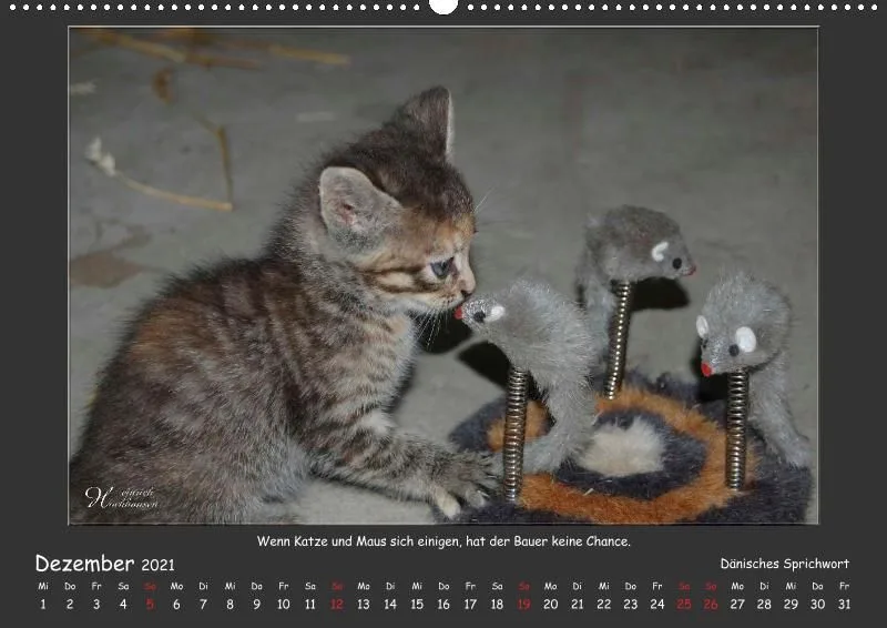 Holistic Arts Katzen-Kalender 2021 - Aristocats A2