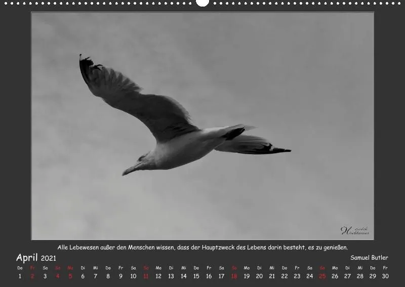 Holistic Arts Schwarzweiß-Kalender 2021 - Kontraste A2