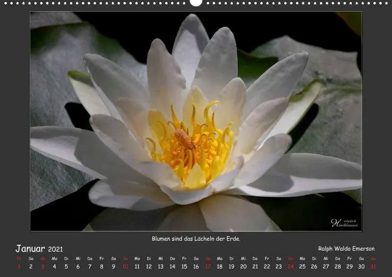 Holistic Arts Blumen-Kalender 2021 - Lächeln der Erde A2