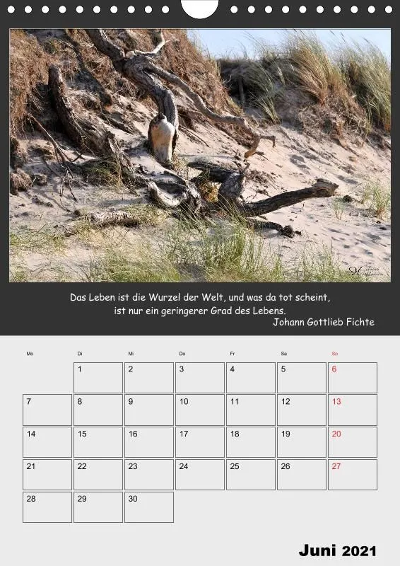 Holistic Arts Strand-Termin-Kalender 2021 - Strandgut