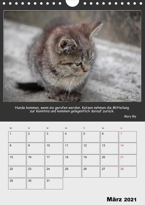 Holistic Arts Katzen-Termin-Kalender 2021 - Aristocats