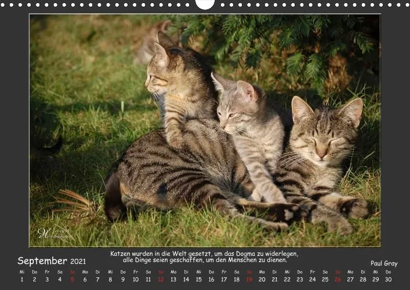 Holistic Arts Katzen-Kalender 2021 - Aristocats A3
