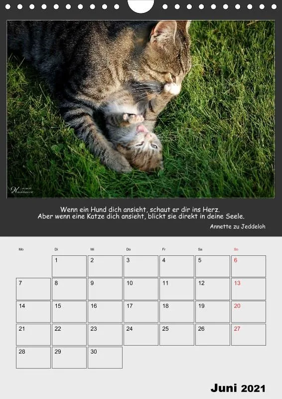 Holistic Arts Katzen-Termin-Kalender 2021 - Aristocats