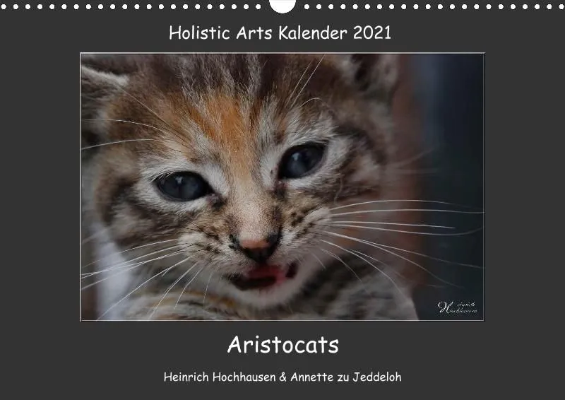 Holistic Arts Katzen-Kalender 2021 - Aristocats A3