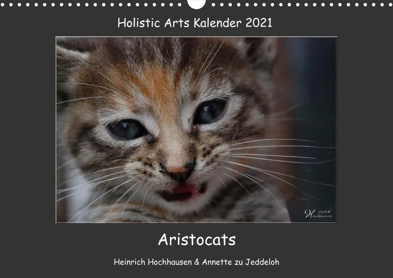 Holistic Arts Katzen-Kalender 2021 - Aristocats A3
