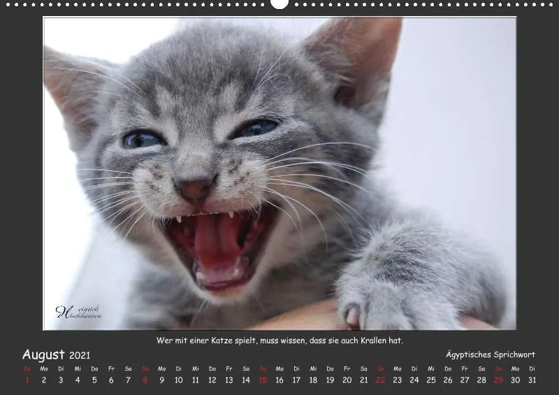 Holistic Arts Katzen-Kalender 2021 - Aristocats A2