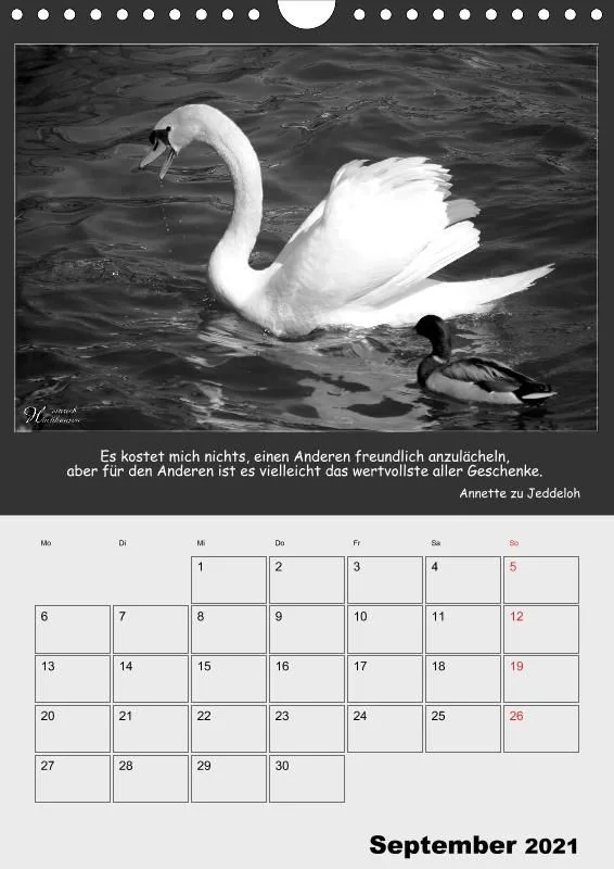 Holistic Arts Schwarzweiß-Termin-Kalender 2021 - Kontraste