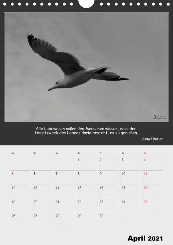 Holistic Arts Schwarzweiß-Termin-Kalender 2021 - Kontraste