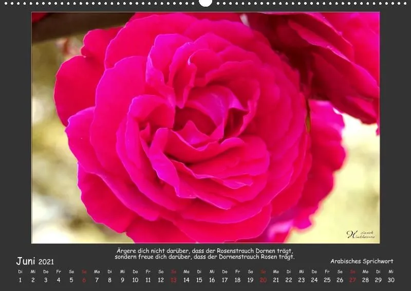 Holistic Arts Blumen-Kalender 2021 - Lächeln der Erde A2