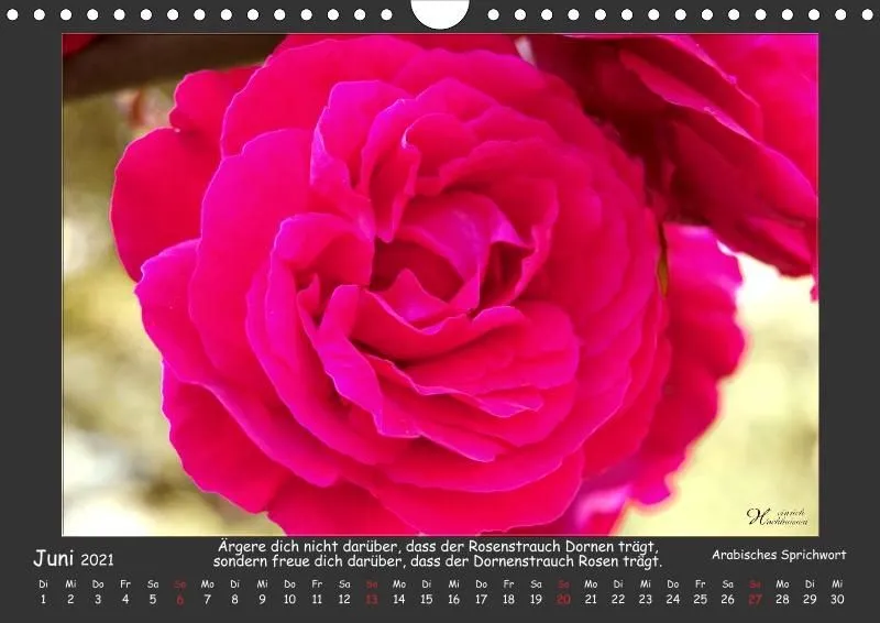 Holistic Arts Blumen-Kalender 2021 - Lächeln der Erde A4