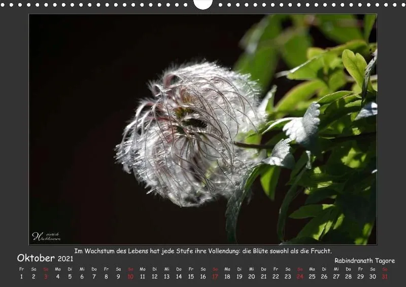 Holistic Arts Blumen-Kalender 2021 - Lächeln der Erde A3
