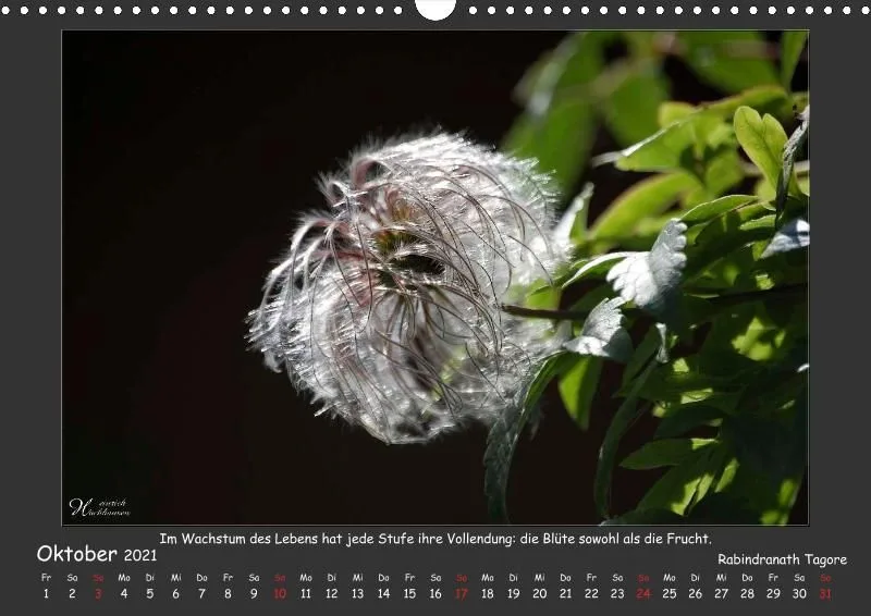 Holistic Arts Blumen-Kalender 2021 - Lächeln der Erde A3