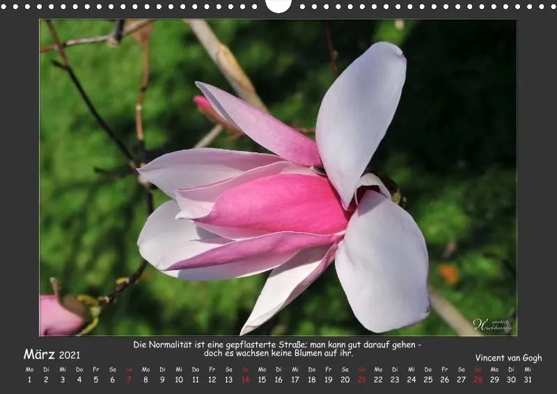 Holistic Arts Blumen-Kalender 2021 - Lächeln der Erde A3