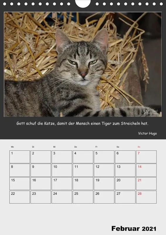 Holistic Arts Katzen-Termin-Kalender 2021 - Aristocats
