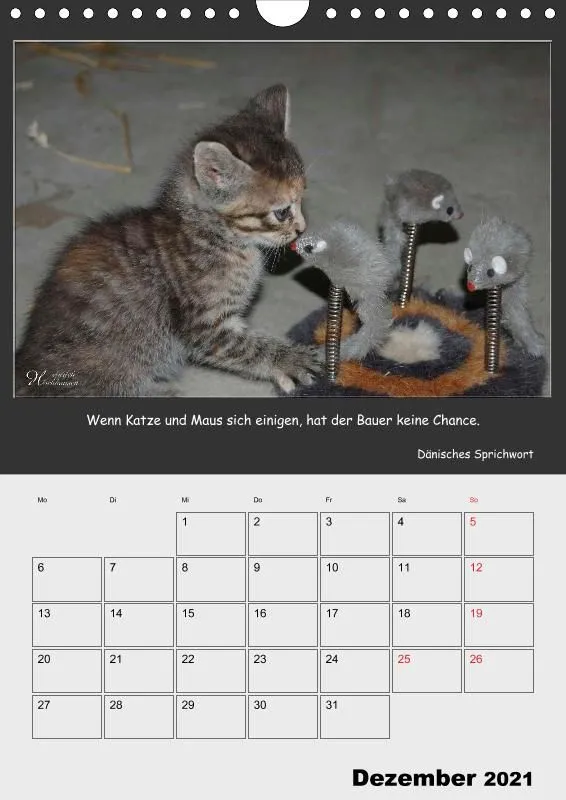 Holistic Arts Katzen-Termin-Kalender 2021 - Aristocats