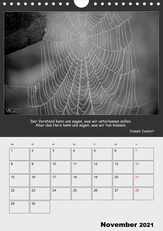 Holistic Arts Schwarzweiß-Termin-Kalender 2021 - Kontraste