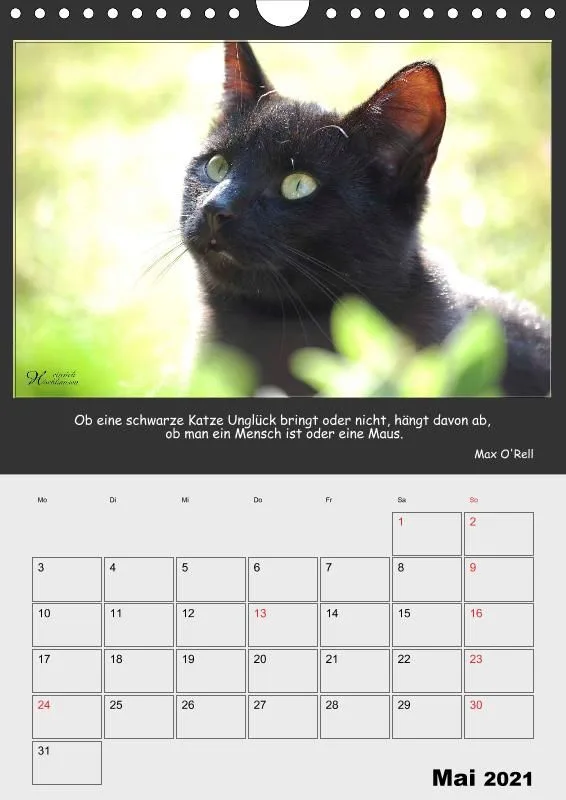 Holistic Arts Katzen-Termin-Kalender 2021 - Aristocats
