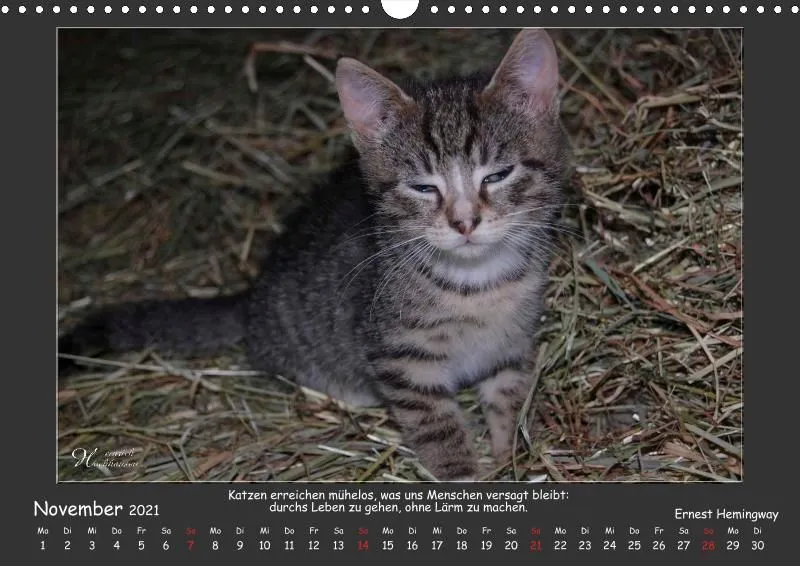 Holistic Arts Katzen-Kalender 2021 - Aristocats A3