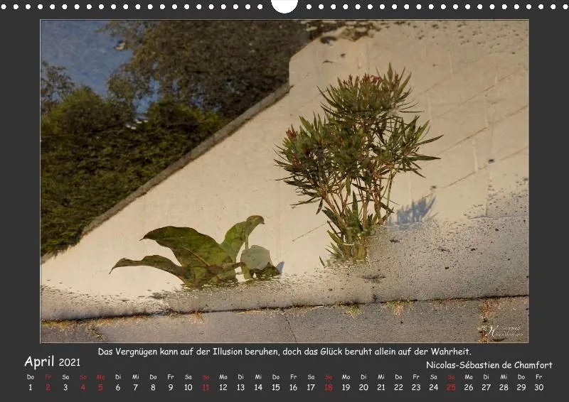 Holistic Arts Spiegelungen-Kalender 2021 - Illusionen A3