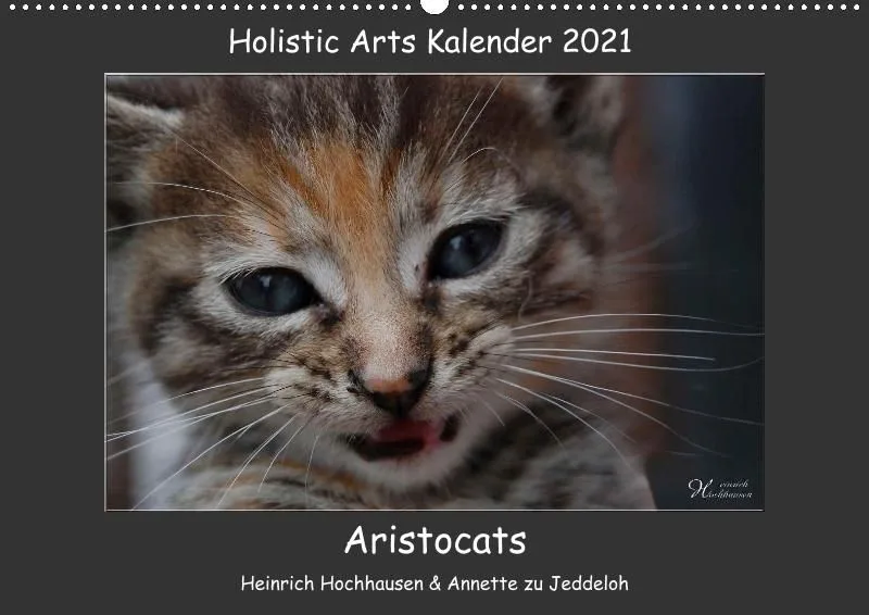 Holistic Arts Katzen-Kalender 2021 - Aristocats A2
