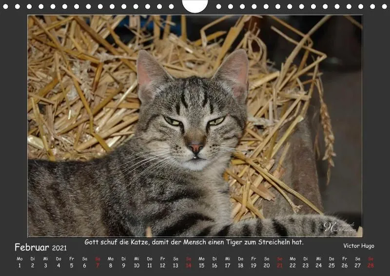 Holistic Arts Katzen-Kalender 2021 - Aristocats A4