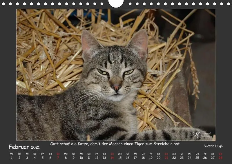 Holistic Arts Katzen-Kalender 2021 - Aristocats A4