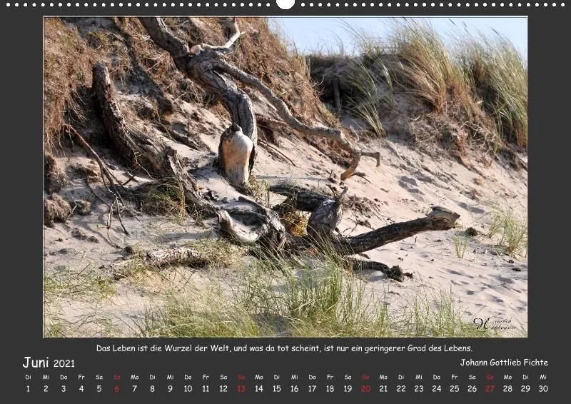 Holistic Arts Strand-Kalender 2021 - Strandgut A2