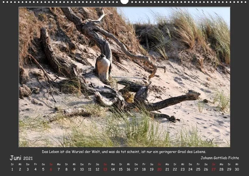 Holistic Arts Strand-Kalender 2021 - Strandgut A2