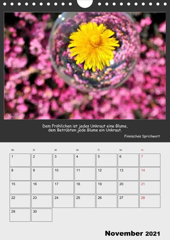 Holistic Arts Blumen-Termin-Kalender 2021 - Lächeln der Erde