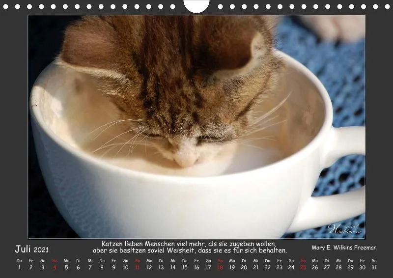 Holistic Arts Katzen-Kalender 2021 - Aristocats A4