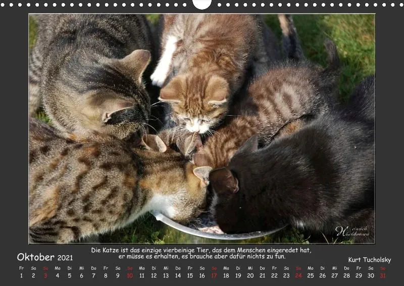 Holistic Arts Katzen-Kalender 2021 - Aristocats A3