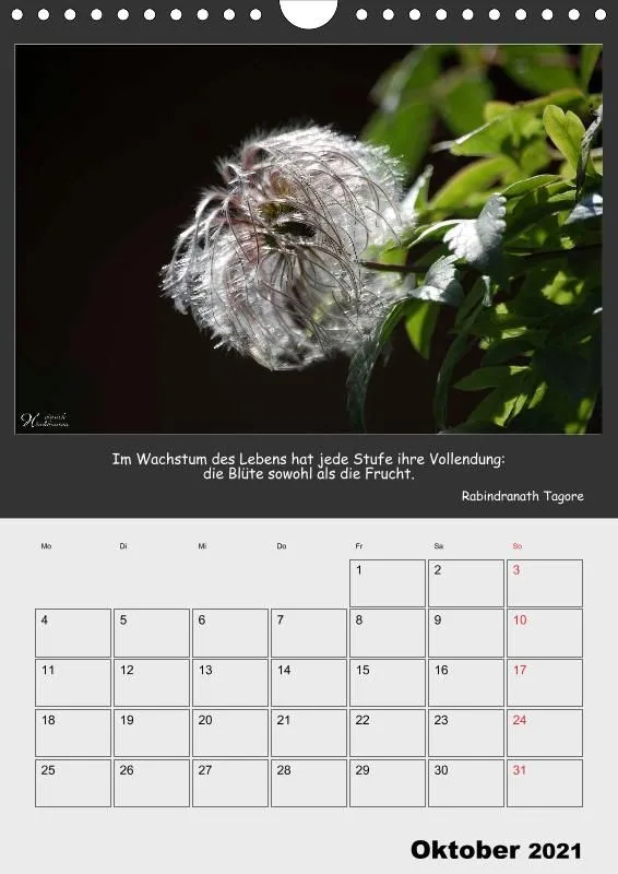 Holistic Arts Blumen-Termin-Kalender 2021 - Lächeln der Erde