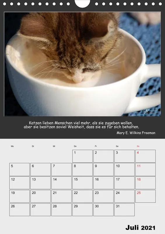 Holistic Arts Katzen-Termin-Kalender 2021 - Aristocats