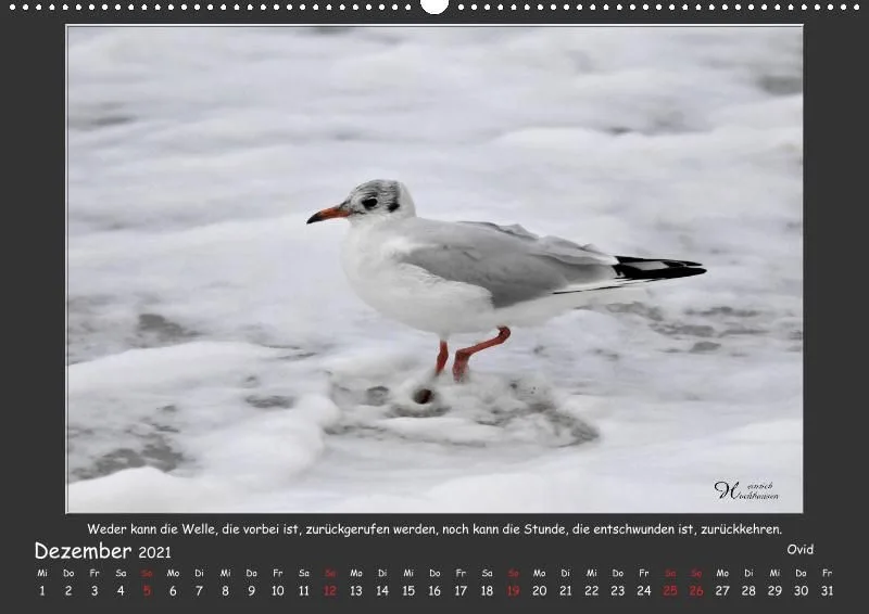 Holistic Arts Strand-Kalender 2021 - Strandgut A2