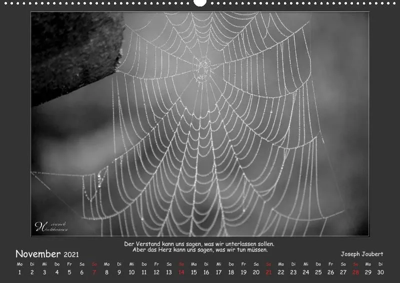 Holistic Arts Schwarzweiß-Kalender 2021 - Kontraste A2