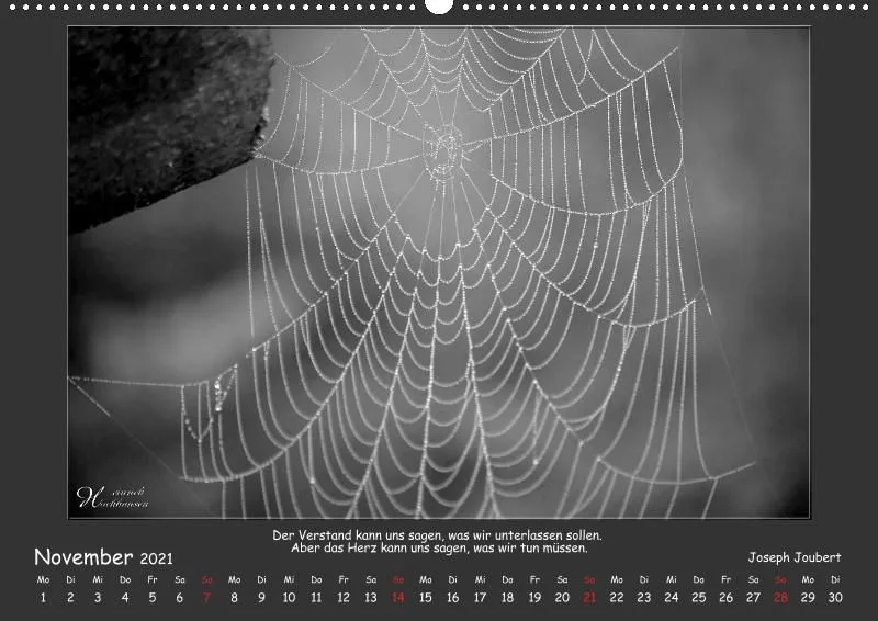 Holistic Arts Schwarzweiß-Kalender 2021 - Kontraste A2