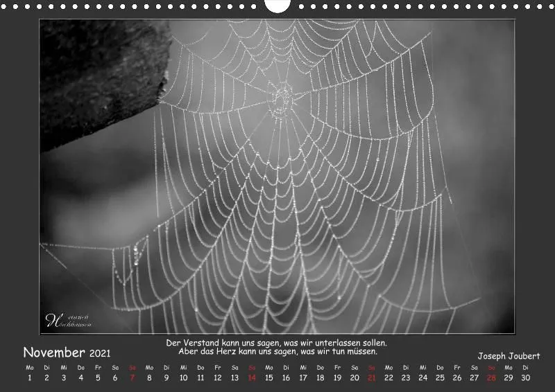 Holistic Arts Schwarzweiß-Kalender 2021 - Kontraste A3