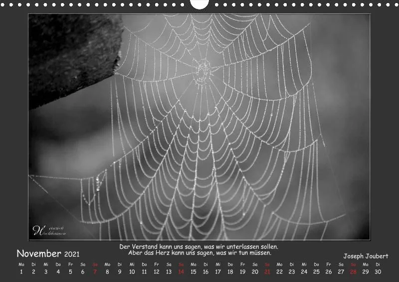 Holistic Arts Schwarzweiß-Kalender 2021 - Kontraste A3