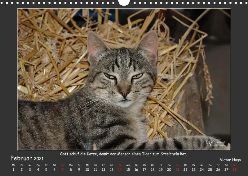 Holistic Arts Katzen-Kalender 2021 - Aristocats A3